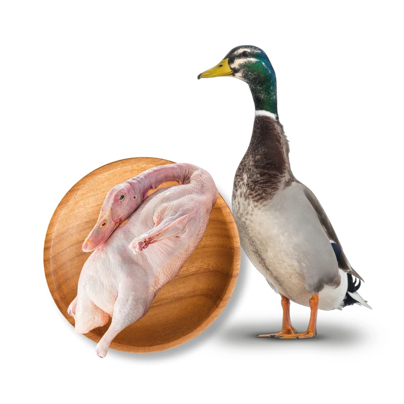 Local Duck Processed (দেশি হাঁস প্রসেসড)